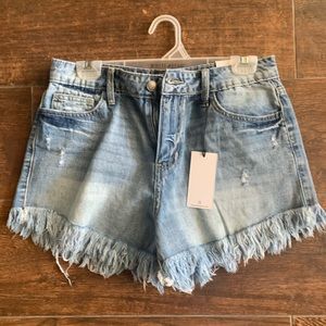 NWT Jelly Jeans cutoffs